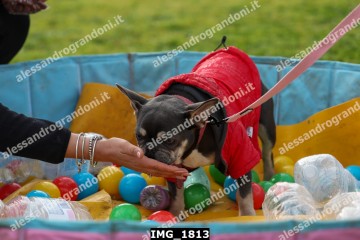 IMG_1813.jpg