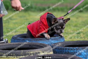IMG_1866.jpg