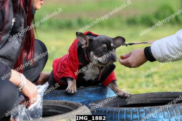 IMG_1882.jpg