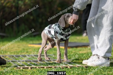 IMG_1957.jpg
