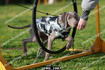 IMG_1987.jpg