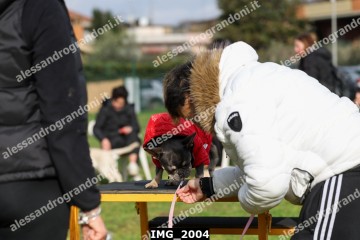 IMG_2004.jpg
