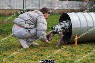 IMG_2046.jpg
