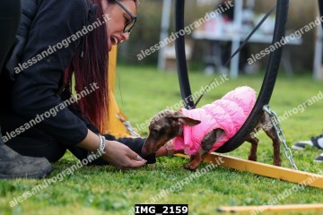 IMG_2159.jpg