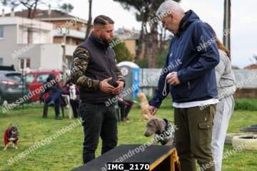 IMG_2170.jpg