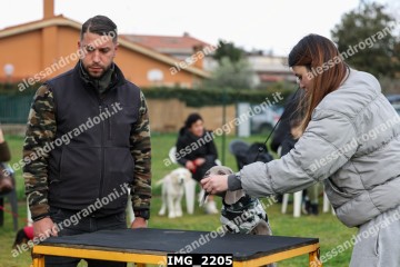 IMG_2205.jpg