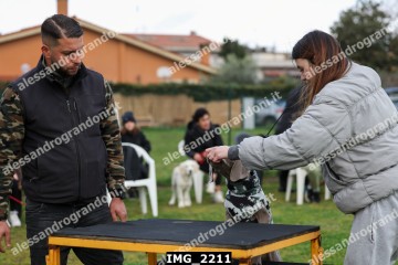 IMG_2211.jpg