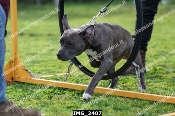 IMG_2407.jpg