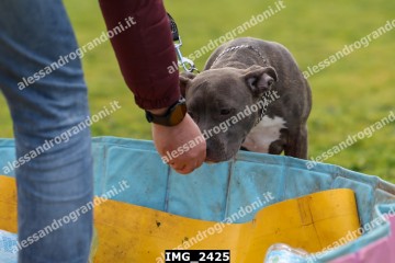 IMG_2425.jpg