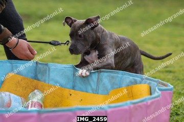 IMG_2459.jpg