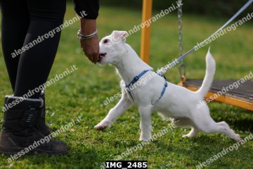 IMG_2485.jpg