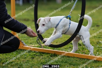 IMG_2503.jpg