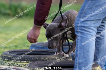 IMG_2564.jpg