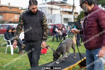 IMG_2605.jpg