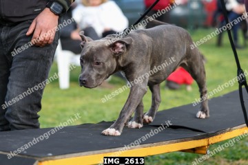 IMG_2613.jpg