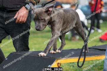 IMG_2626.jpg