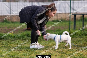 IMG_2657.jpg