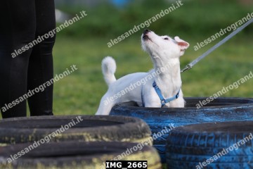 IMG_2665.jpg