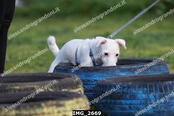 IMG_2669.jpg