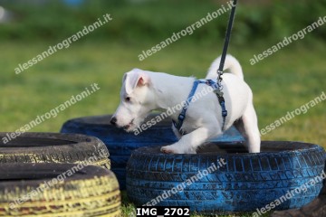 IMG_2702.jpg