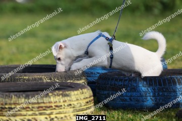 IMG_2711.jpg