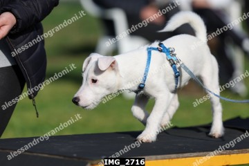 IMG_2716.jpg
