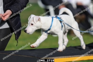 IMG_2719.jpg