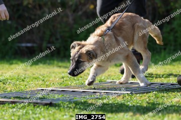 IMG_2754.jpg