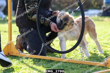 IMG_2790.jpg