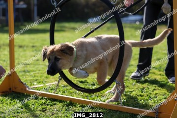 IMG_2812.jpg