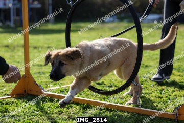 IMG_2814.jpg