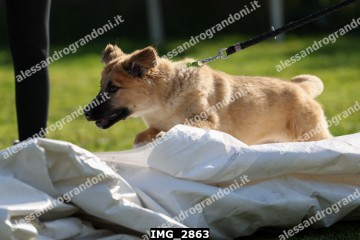 IMG_2863.jpg