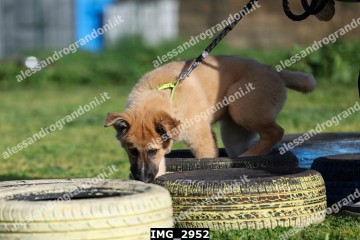 IMG_2952.jpg