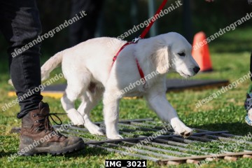 IMG_3021.jpg