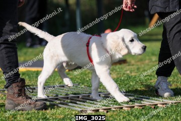 IMG_3025.jpg