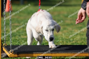 IMG_3035.jpg