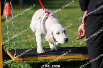 IMG_3038.jpg