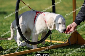 IMG_3049.jpg