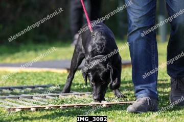 IMG_3082.jpg