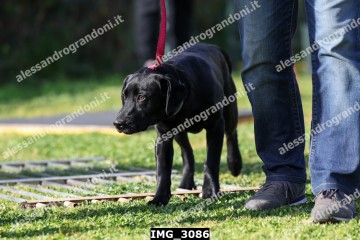 IMG_3086.jpg