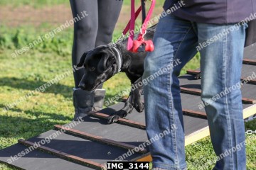 IMG_3144.jpg