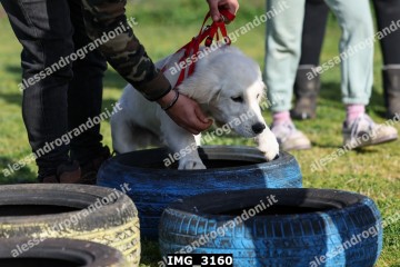 IMG_3160.jpg