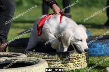 IMG_3189.jpg