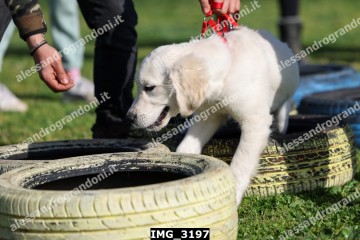 IMG_3197.jpg
