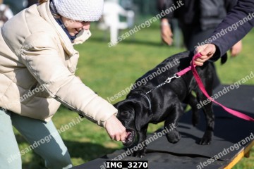 IMG_3270.jpg