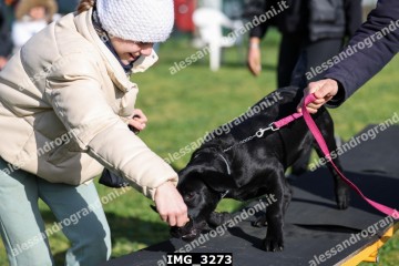 IMG_3273.jpg