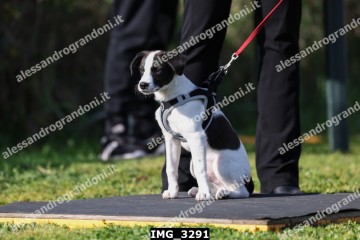 IMG_3291.jpg