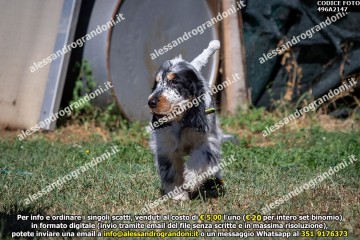 496A2147.jpg