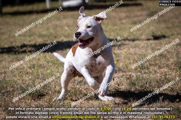 496A2169.jpg