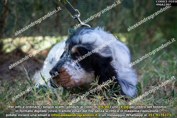 496A2207.jpg